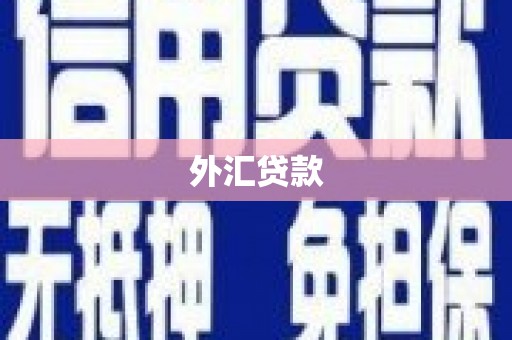 萝北外汇贷款