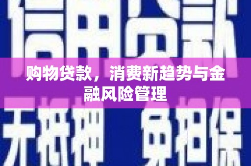 萝北购物贷款，消费新趋势与金融风险管理