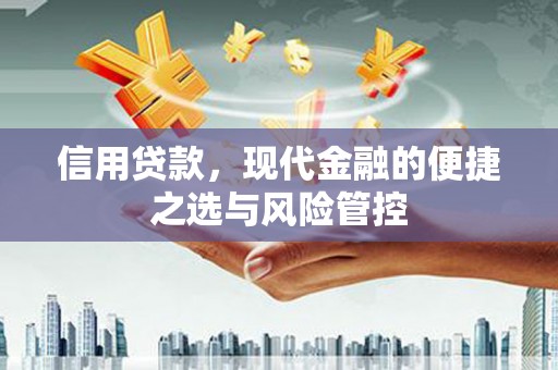 萝北信用贷款，现代金融的便捷之选与风险管控