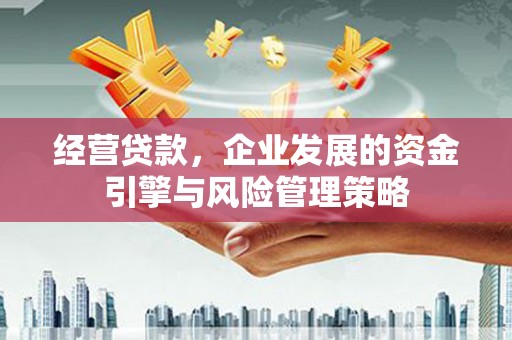 萝北经营贷款，企业发展的资金引擎与风险管理策略