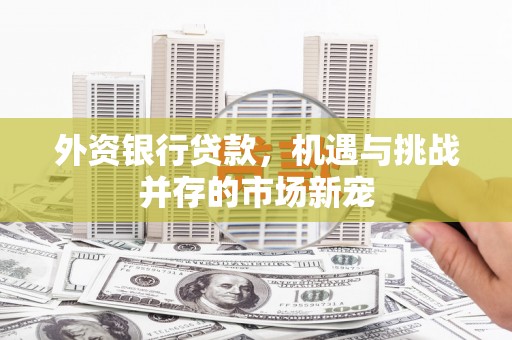 萝北外资银行贷款，机遇与挑战并存的市场新宠