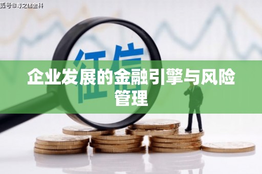 萝北企业发展的金融引擎与风险管理