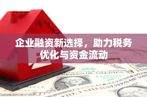 萝北企业融资新选择，助力税务优化与资金流动