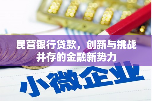 萝北民营银行贷款，创新与挑战并存的金融新势力