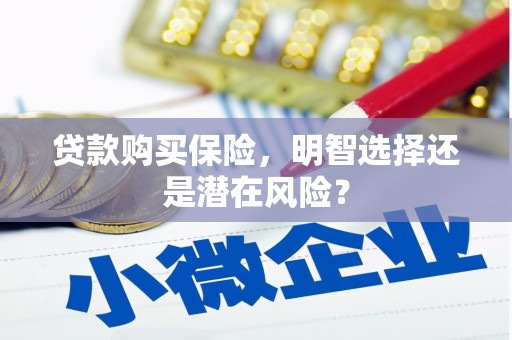 萝北贷款购买保险，明智选择还是潜在风险？