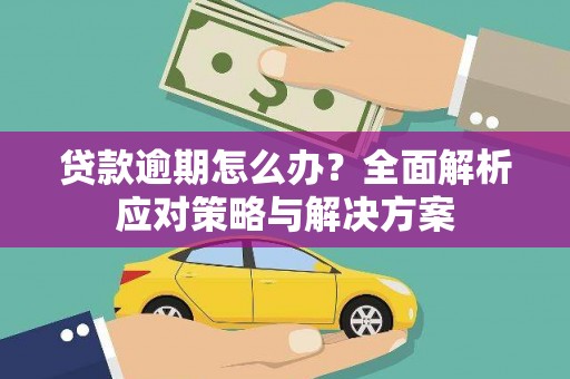 萝北贷款逾期怎么办？全面解析应对策略与解决方案