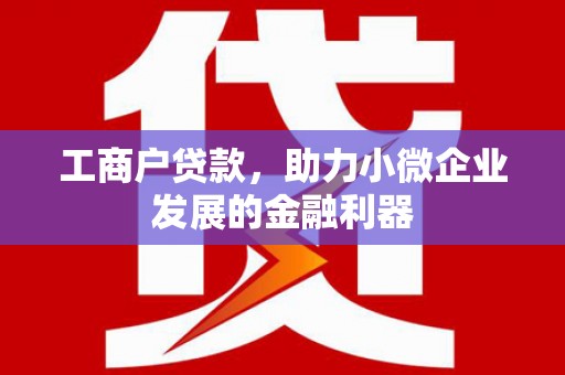 萝北工商户贷款,助力小微企业发展的金融利器 萝北工商户贷款,助力小微企业发展的金融利器