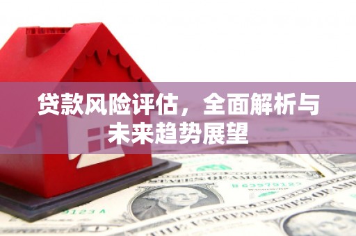 萝北贷款风险评估，全面解析与未来趋势展望