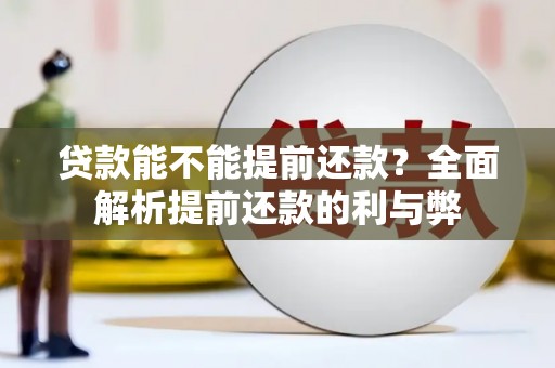 萝北贷款能不能提前还款？全面解析提前还款的利与弊