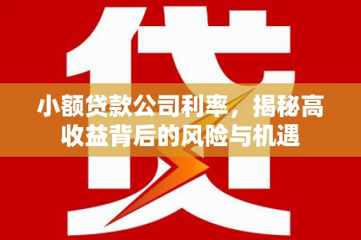 萝北小额贷款公司利率，揭秘高收益背后的风险与机遇