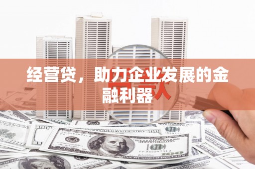 萝北经营贷，助力企业发展的金融利器