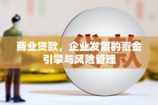 萝北商业贷款，企业发展的资金引擎与风险管理