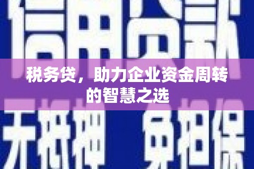 萝北税务贷，助力企业资金周转的智慧之选