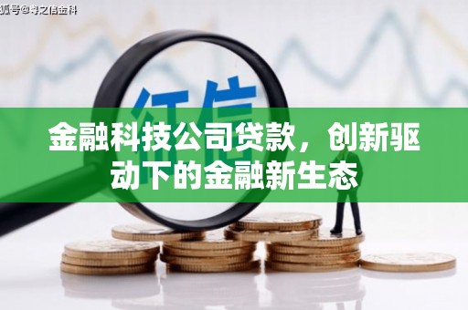 萝北金融科技公司贷款，创新驱动下的金融新生态