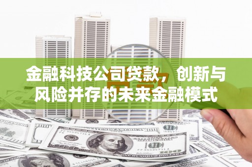 萝北金融科技公司贷款，创新与风险并存的未来金融模式