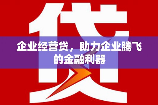 萝北企业经营贷，助力企业腾飞的金融利器