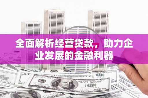 萝北全面解析经营贷款，助力企业发展的金融利器