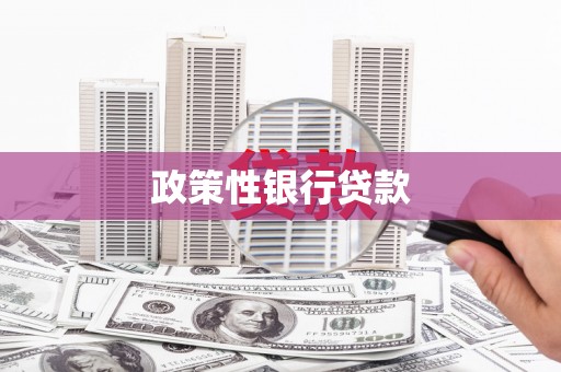 萝北政策性银行贷款
