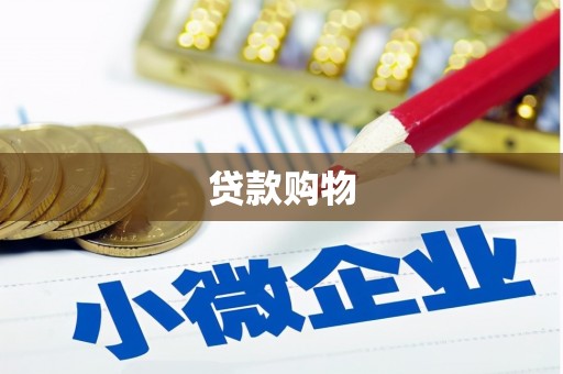 萝北贷款购物