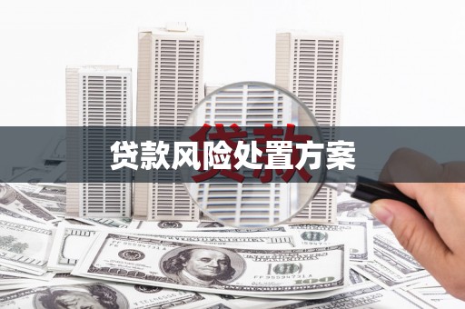 萝北贷款风险处置方案