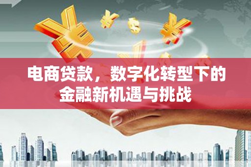 萝北电商贷款，数字化转型下的金融新机遇与挑战