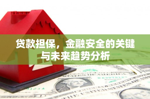 萝北贷款担保，金融安全的关键与未来趋势分析