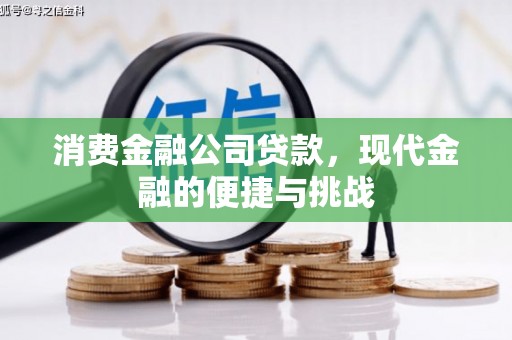 萝北消费金融公司贷款，现代金融的便捷与挑战