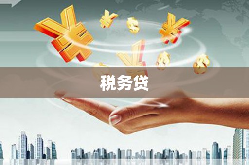 萝北税务贷