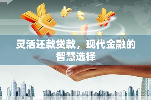 萝北灵活还款贷款，现代金融的智慧选择