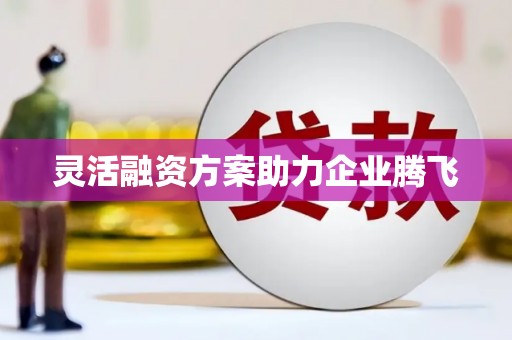 萝北灵活融资方案助力企业腾飞