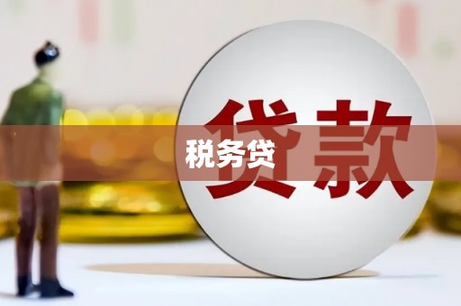 萝北税务贷