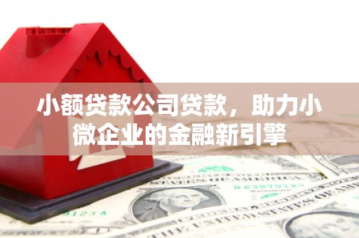 萝北小额贷款公司贷款，助力小微企业的金融新引擎