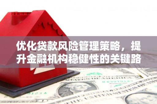 萝北优化贷款风险管理策略，提升金融机构稳健性的关键路径