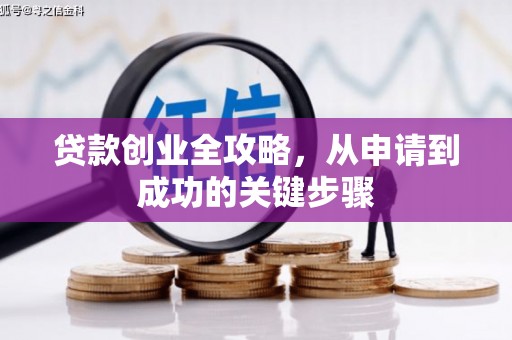 萝北贷款创业全攻略，从申请到成功的关键步骤