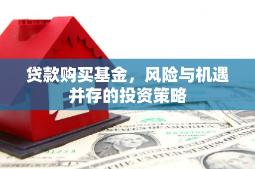 萝北贷款购买基金，风险与机遇并存的投资策略