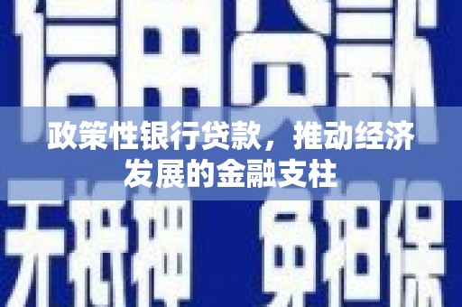 萝北政策性银行贷款，推动经济发展的金融支柱
