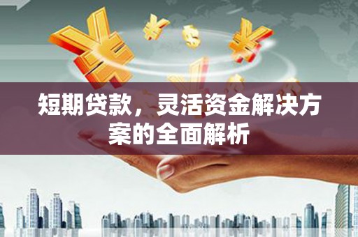 萝北短期贷款，灵活资金解决方案的全面解析