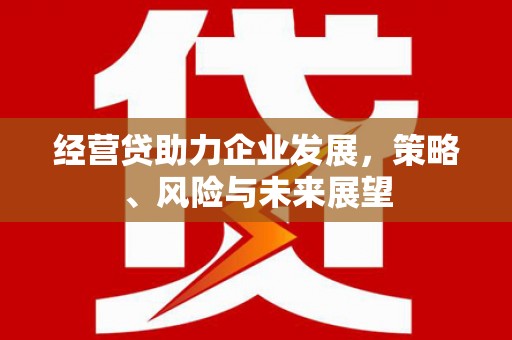 萝北经营贷助力企业发展，策略、风险与未来展望