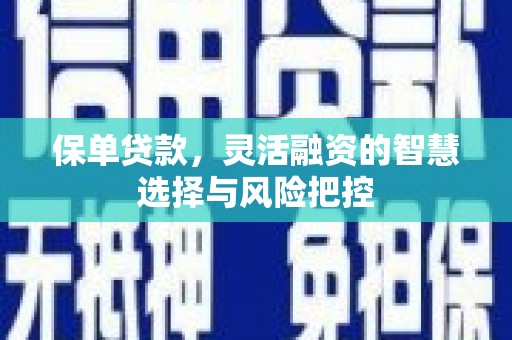 萝北保单贷款，灵活融资的智慧选择与风险把控