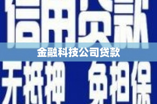 萝北金融科技公司贷款