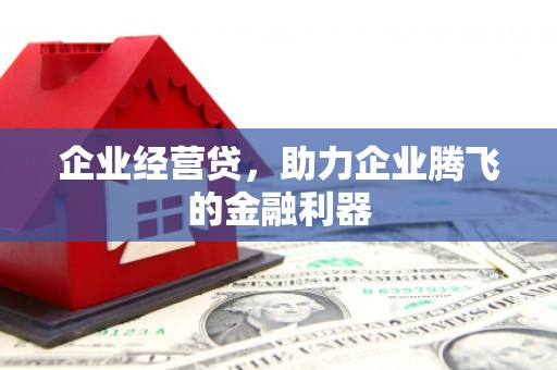 萝北企业经营贷，助力企业腾飞的金融利器