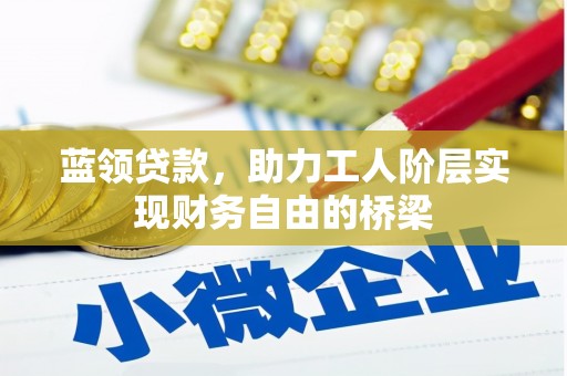 萝北蓝领贷款，助力工人阶层实现财务自由的桥梁