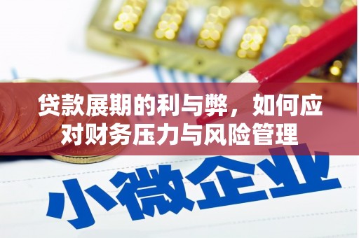萝北贷款展期的利与弊，如何应对财务压力与风险管理