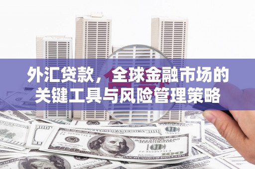 萝北外汇贷款，全球金融市场的关键工具与风险管理策略