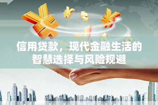 萝北信用贷款，现代金融生活的智慧选择与风险规避