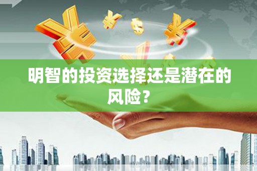 萝北明智的投资选择还是潜在的风险？