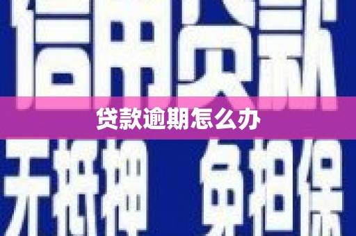 萝北贷款逾期怎么办