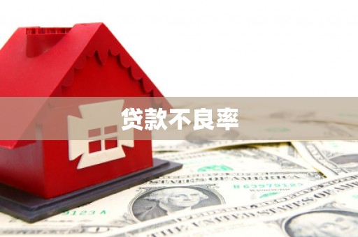 萝北贷款不良率