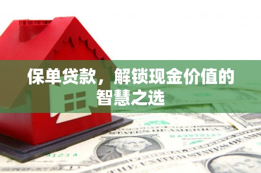 萝北保单贷款，解锁现金价值的智慧之选