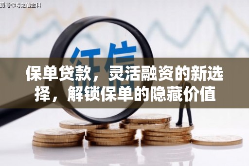 萝北保单贷款，灵活融资的新选择，解锁保单的隐藏价值
